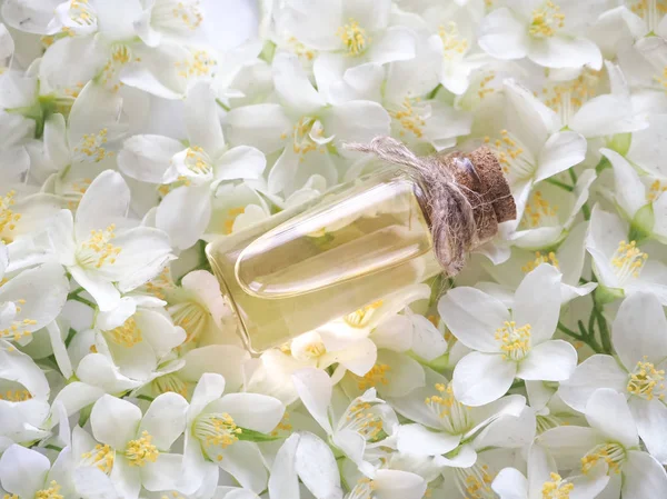 Aceite de flor de jazmín natural para la relajación y la felicidad . —  Fotos de Stock