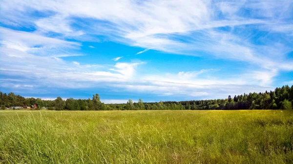 Niezagospodarowanej dziedzinie i słoneczne niebo z chmurami. Wiejski krajobraz. — Zdjęcie stockowe