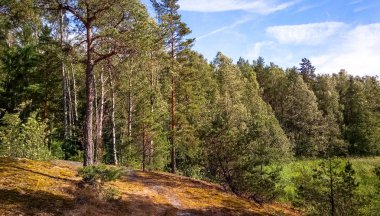 Doğal orman Granit kayalar ile. Kuzey Doğa, orman bulutlu gökyüzü güneşli bir günde.
