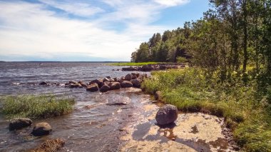 Kayalık sahil. Kuzey doğa doğal peyzaj.