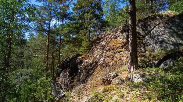 Floresta escandinava enormes pedras de granito. Paisagem florestal do Norte . — Fotografia de Stock