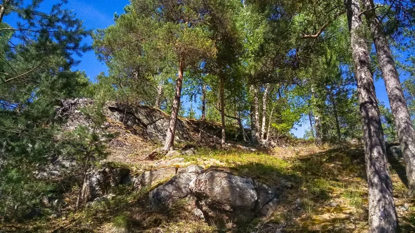 Bosque escandinavo enormes rocas de granito. Bosque del norte paisaje . — Foto de Stock