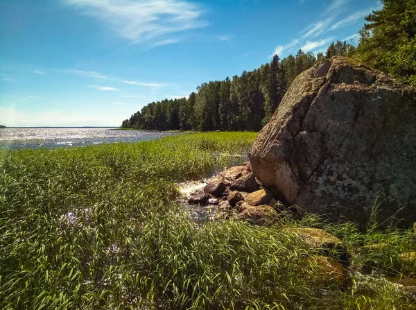 Floresta escandinava ensolarada com pedras de granito. Foto móvel . — Fotografia de Stock
