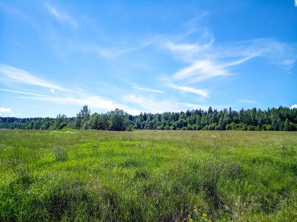 Zielone pola z lasu na horyzoncie i niebieski niebo z chmurami. — Zdjęcie stockowe