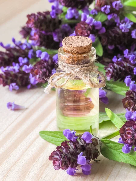 Yara otu. Ortak öz baş petrol. Tıbbi bitki.