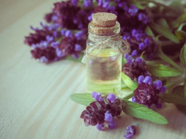 Tıbbi bitki. Kendini iyileşmek ortak (Yara otu) kokulu yağ.  