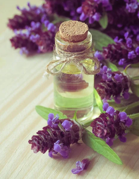 Hierba medicinal. Aceite perfumado de auto-curación común (Prunella Vulgaris) . —  Fotos de Stock