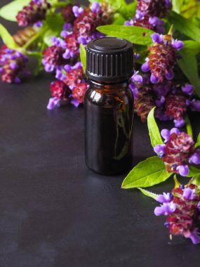 Tıbbi bitki. Kendini iyileşmek ortak (Yara otu) kokulu yağ