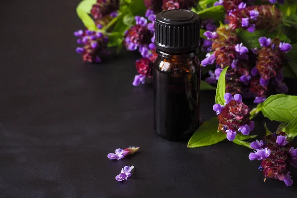 Tıbbi bitki. Kendini iyileşmek ortak (Yara otu) kokulu yağ