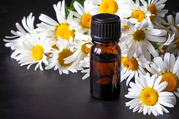 Botella de aceite de manzanilla con flores sobre fondo negro —  Fotos de Stock