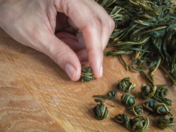 Manual twisting of tea leaves for fermentation. Ivan tea fermentation. — Stock Photo, Image