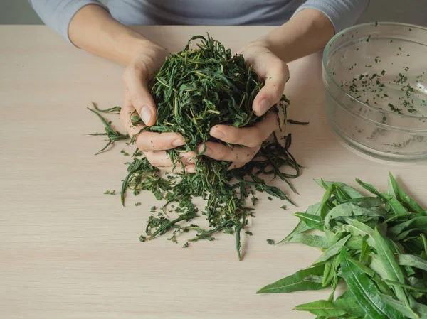 Fermentatieproces theeblaadjes. Handmatige productie Koporje thee - Ivan thee. — Stockfoto