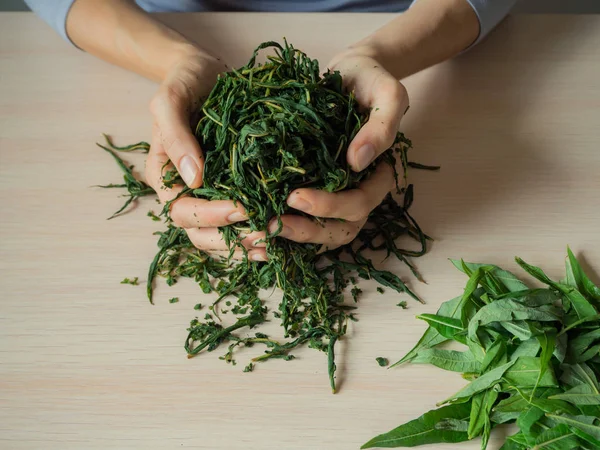 Этапы производства ферментированных чайных листьев. Ферментированный Иван-чай . — стоковое фото