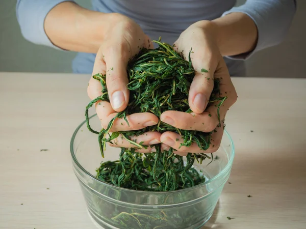 Процесс брожения чайных листьев. Ручное производство Koporye Tea - Ivan tea . — стоковое фото