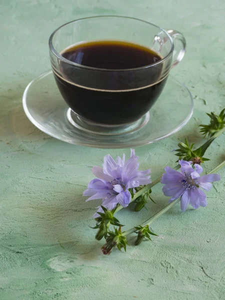 Cichorei koffie. Vervanging voor traditionele koffie, een kruiden drankje uit de wortels van witlof. — Stockfoto