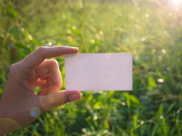 Tarjeta de visita en la mano sobre un fondo de vegetación con resplandor solar . — Foto de Stock