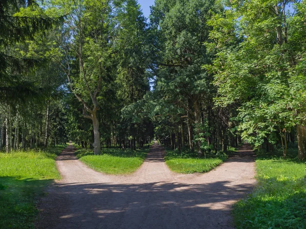 An der Kreuzung münden drei Forststraßen in eine. — Stockfoto