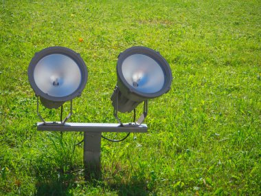 Spot bir yeşil çimenlerin üzerinde yüklü. Yakın çekim.