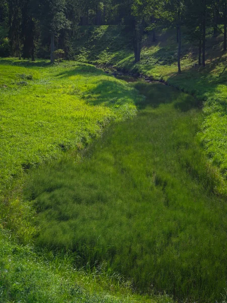 Ruscello nel prato verde di montagna. Panorama verde . — Foto Stock