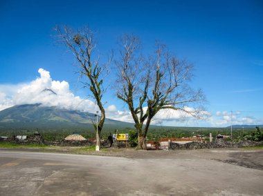 Eski ağaçları ile kara ve Endonezya'nın bir yanardağ manzara.