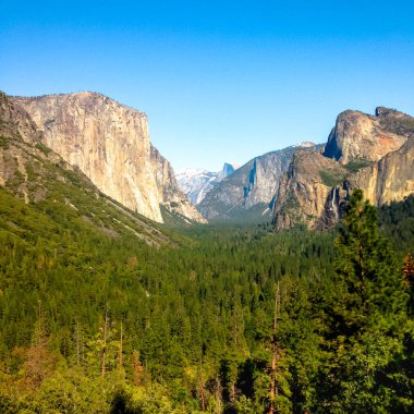 Bahar yatay, Yosemite Milli Parkı, ABD.