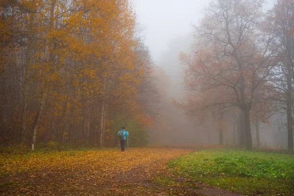 Autumn misty landscape with a man in the Park. — Stock Photo, Image