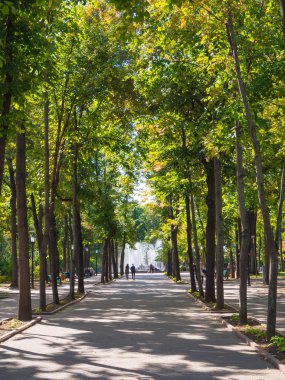 Green Park Chisinau bir çeşme ile. Moldova.