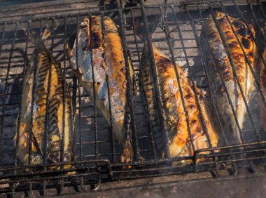 Izgara balık duman içinde kızarmış. Barbekü kavramı.