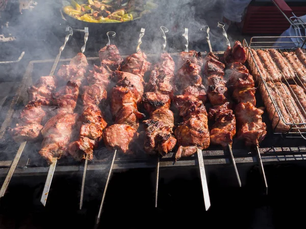 Kebab roasted on the coals in the smoke. — Stock Photo, Image