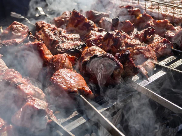 Kebab roasted on the coals in the smoke. — Stock Photo, Image