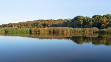 Su yansıma yeşil kıyı alanı.