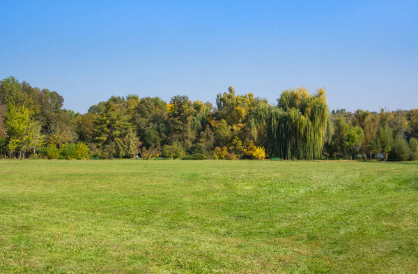 Beautiful sunny landscape with large lawn in early autumn.