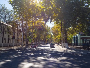 Arabalar şehrin gölgeli sonbahar sokak.