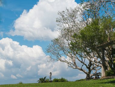 Bir ağaç ve bir çim Asya'nın bir heykelin ile güzel manzara.
