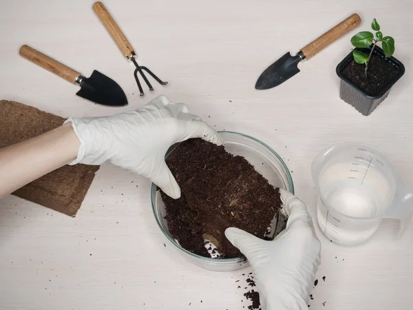 Sustrato de coco para el suelo. Briqueta de sustrato de coco prensado — Foto de Stock