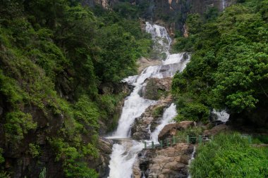 Yeşil vadi dağ şelale.