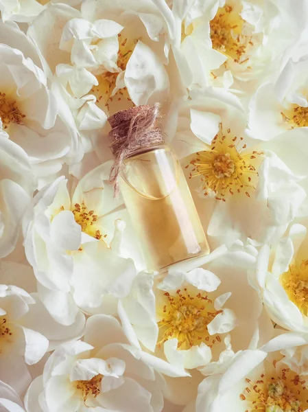 アラビアのウード アター香水ミニボトル — ストック写真
