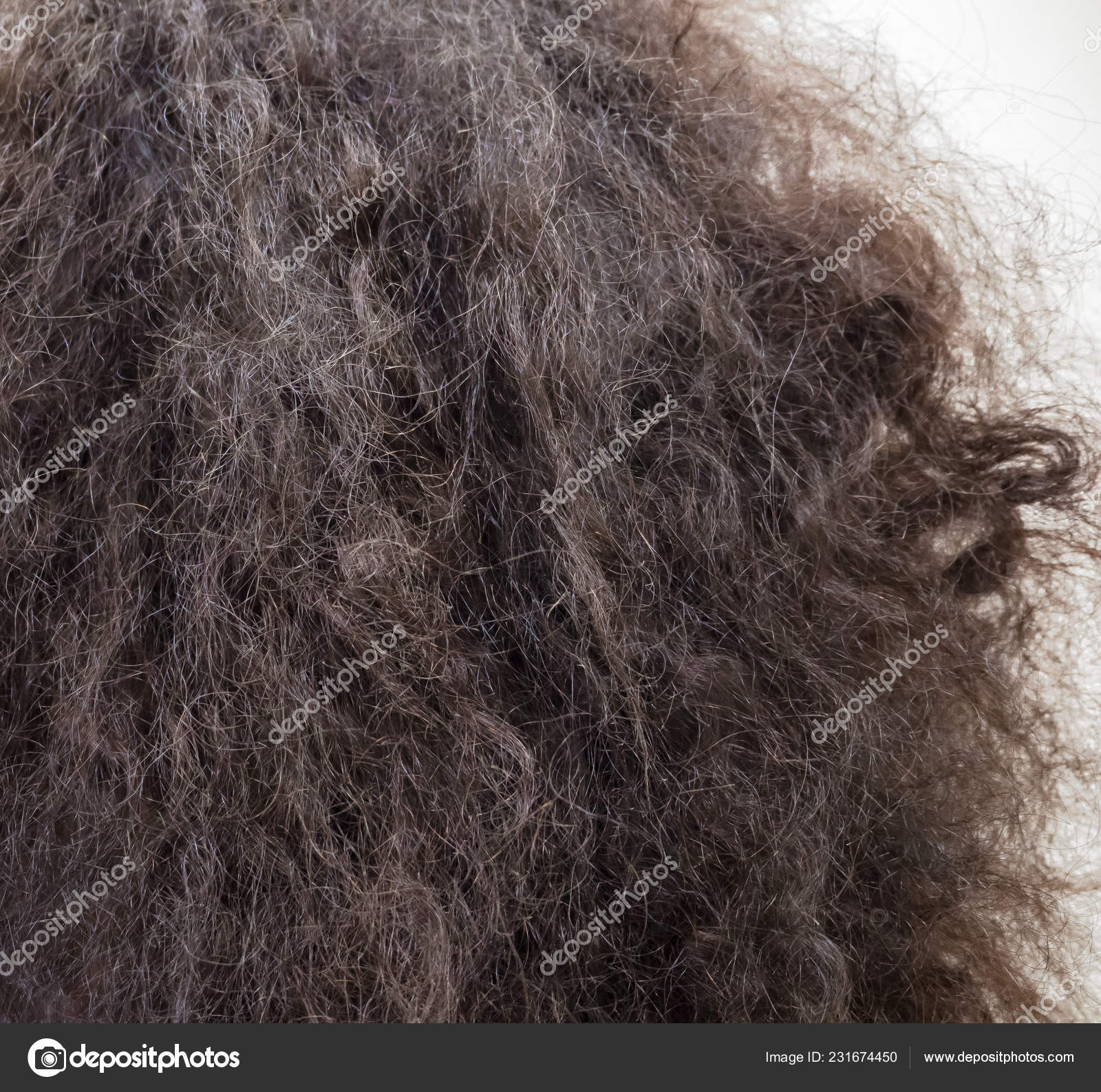 Women S Curly Tangled Dark Hair Close Up Stock Photo