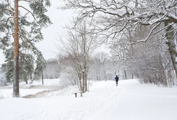 Jogging într-un frumos parc de iarnă acoperit de zăpadă . — Fotografie, imagine de stoc