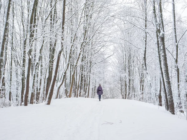 Kadın siluet karla kaplı bir parkta yürüyor.