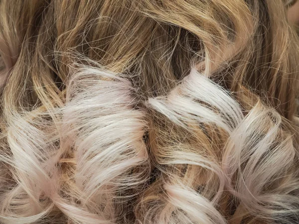 Градієнтний колір на жіночому кучерявому волоссі. крупним планом . — стокове фото
