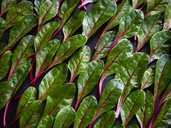 Chard lettuce leaves flat lay, close up. — Stock Photo, Image