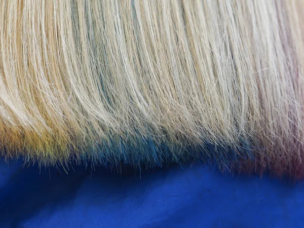 Cabello multicolor. Tinción coloreada del cabello . — Foto de Stock