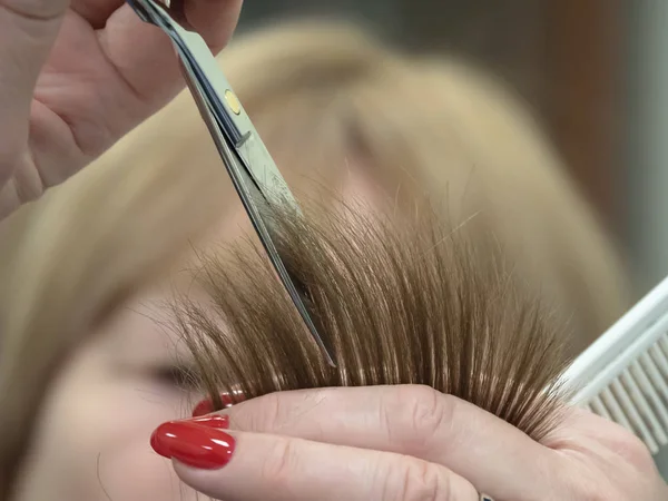 Метод обрезки волос ножницами . — стоковое фото