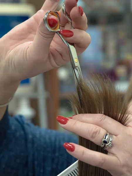 La técnica de cortar el cabello con tijeras . — Foto de Stock