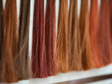 Color of hair dyes. Selection of a shade of hair.  clipart