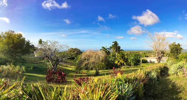 Cuban landscape. Ranch on the Caribbean sea. — Stock Photo, Image