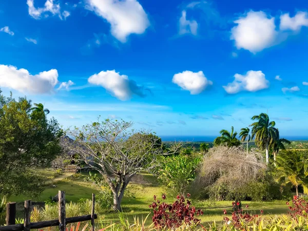 Wunderschöne kubanische Landschaft mit üppigem Grün. — Stockfoto