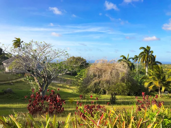 Kubanische Landschaft. Ranch am karibischen Meer. — Stockfoto