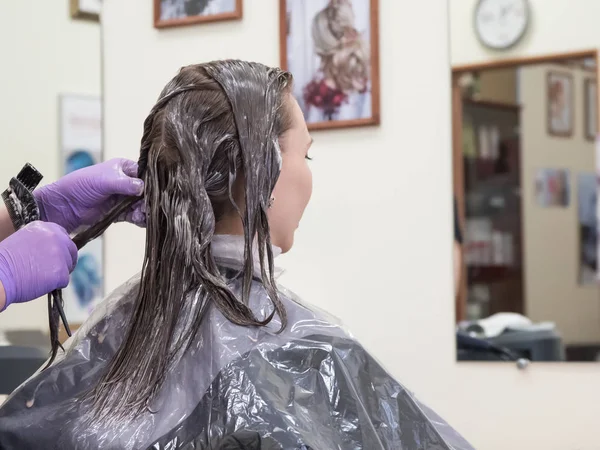 Восстановление Длинных Волос Салоне Красоты Окраска Волос — стоковое фото